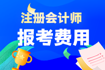 2023年天津市注冊(cè)會(huì)計(jì)師考試報(bào)名費(fèi)是多少??？