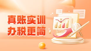 真賬實(shí)訓(xùn)，辦稅更簡(jiǎn)